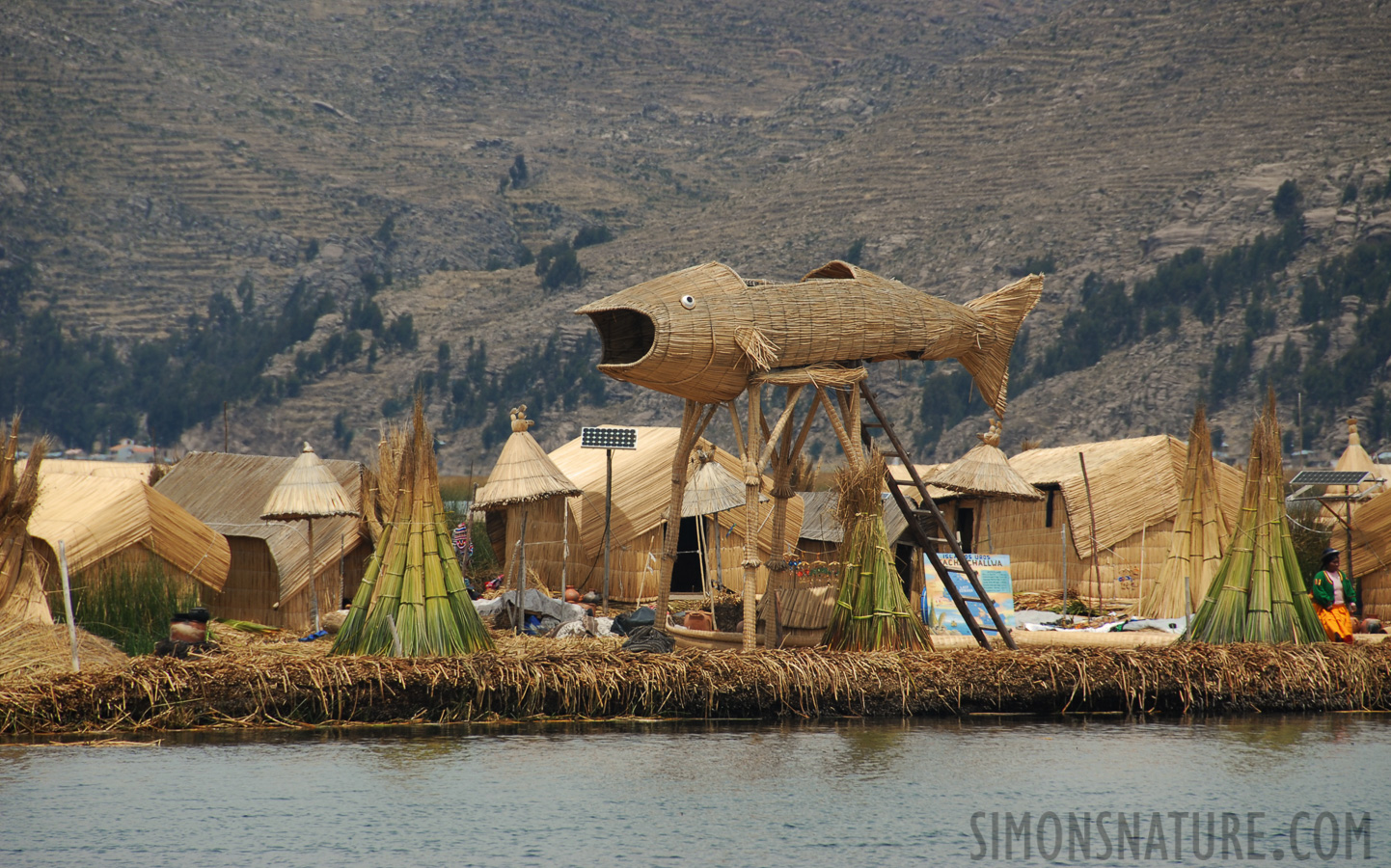 Lake Titicaca [200 mm, 1/250 sec at f / 8.0, ISO 100]